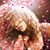 Debbie Jaye's profile image