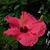 Suzanne Stear's profile image