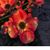 Marien Martell Kissling's profile image