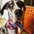 Blakeley Anne's profile image