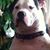 Mark J Cullens's profile image