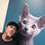 Noah Boinay's profile image