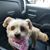 Jennifer Fleishman's profile image