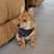 Sherry Kendrick's profile image