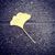 Jocelyne Berengaria Houghton's profile image