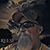 Eddy Reese's profile image
