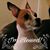 Teresa Upchurch's profile image