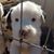 Sheena Greenstone's profile image