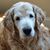Pauline Stevens's profile image