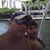 Idoelsis Gonzalez's profile image