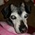 Jenny Perry's profile image