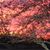 Laura Kennedy Garbacik's profile image