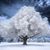 Nettie Tuttle's profile image