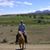 Don Nikel's profile image
