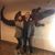 Jennifer Meyer's profile image
