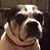 Michael Pierro's profile image