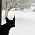 Lyndsy Spackman Lewis's profile image