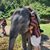 Sarah Heile's profile image