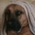 Chris Kueker's profile image