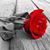 Candis Brown's profile image