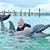 Kelly Saunders Hicks's profile image