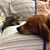 Jodi Kirkpatrick Miner's profile image
