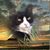 Judy Sangermano's profile image
