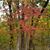 Maxine L. Schroeder's profile image