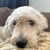 Eileen O'Shaughnessy Hushion's profile image