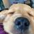 Marnie Rhen Oakley's profile image