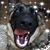 DeAnna Bleckrie's profile image