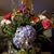 Deb Hoffert's profile image