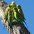 Susan Morgan's profile image