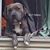 Son Vanlandingham's profile image