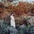 Shelby Powers's profile image