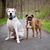 Denise Cassidy-Dietsch's profile image