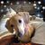 Beverly Eickmeyer's profile image
