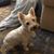 Holly Smith's profile image