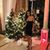Asel Sadillayeva's profile image