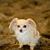 Mary Naill's profile image