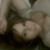 Bianca Torres's profile image