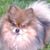 Marti Curtiss's profile image