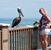 Kristi Mossbarger's profile image