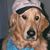Lynn Hamilton's profile image