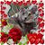 Donna Cassel's profile image