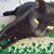 Helen McKinley Cady's profile image