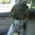 Amy Forconi-Beach's profile image
