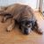 Olaso Olaso Olaso's profile image