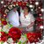Rosamaria Tablada Somarriba's profile image