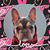 Lynette Green's profile image